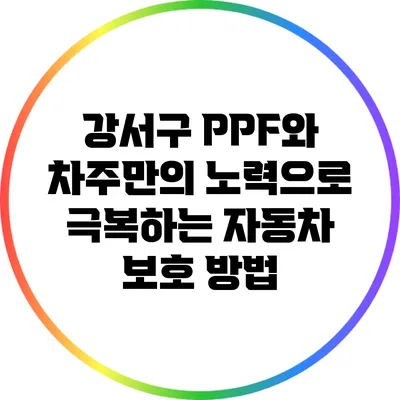 강서구 PPF와 차주만의 노력으로 극복하는 자동차 보호 방법