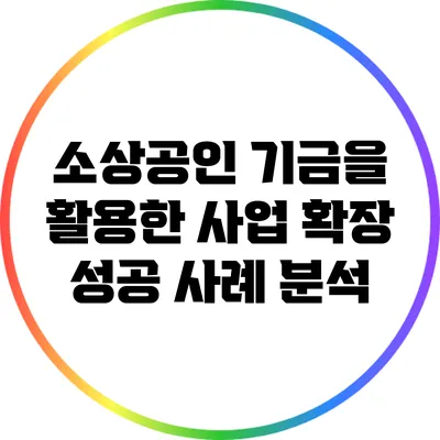 소상공인 기금을 활용한 사업 확장 성공 사례 분석