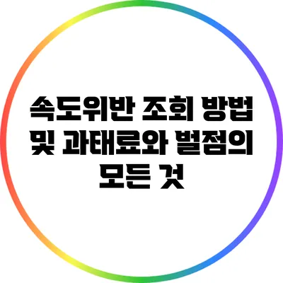 속도위반 조회 방법 및 과태료와 벌점의 모든 것