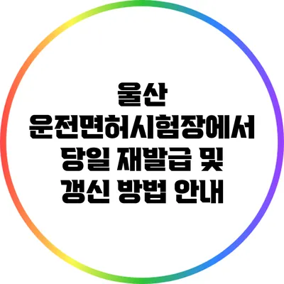 울산 운전면허시험장에서 당일 재발급 및 갱신 방법 안내
