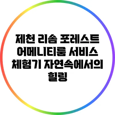 제천 리솜 포레스트 어메니티룸 서비스 체험기: 자연속에서의 힐링