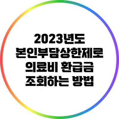 2023년도 본인부담상한제로 의료비 환급금 조회하는 방법