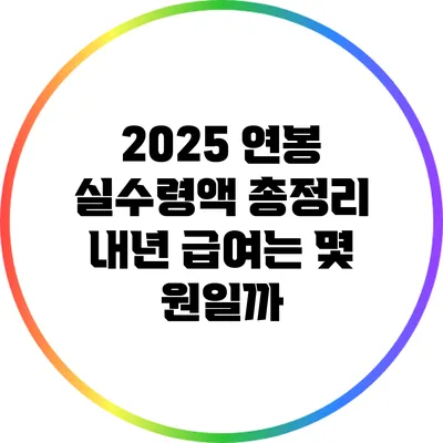 2025 연봉 실수령액 총정리: 내년 급여는 몇 원일까?