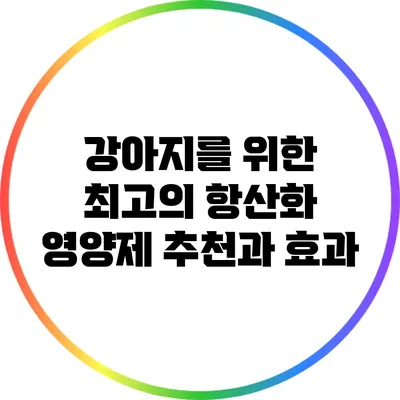 강아지를 위한 최고의 항산화 영양제 추천과 효과