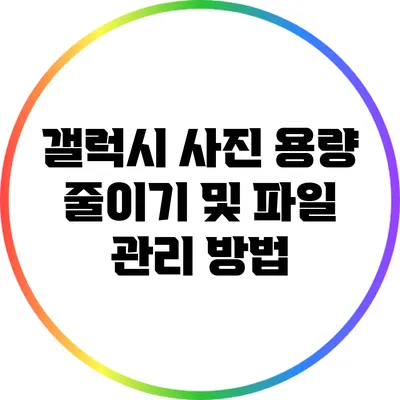 갤럭시 사진 용량 줄이기 및 파일 관리 방법