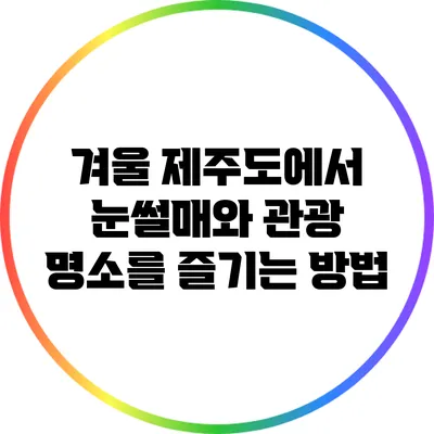 겨울 제주도에서 눈썰매와 관광 명소를 즐기는 방법