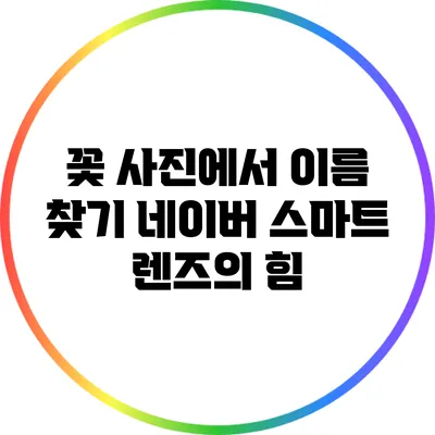 꽃 사진에서 이름 찾기: 네이버 스마트 렌즈의 힘