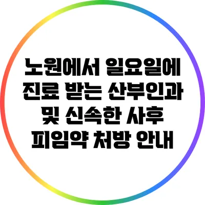 노원에서 일요일에 진료 받는 산부인과 및 신속한 사후 피임약 처방 안내