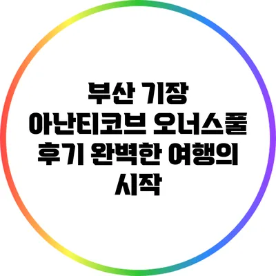 부산 기장 아난티코브 오너스풀 후기: 완벽한 여행의 시작