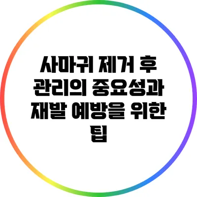 사마귀 제거 후 관리의 중요성과 재발 예방을 위한 팁