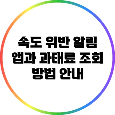 속도 위반 알림 앱과 과태료 조회 방법 안내