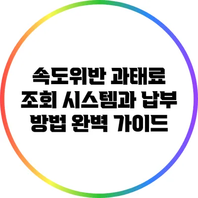 속도위반 과태료 조회 시스템과 납부 방법 완벽 가이드