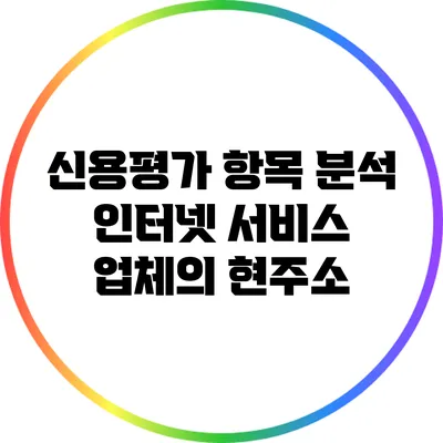 신용평가 항목 분석: 인터넷 서비스 업체의 현주소