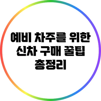 예비 차주를 위한 신차 구매 꿀팁 총정리