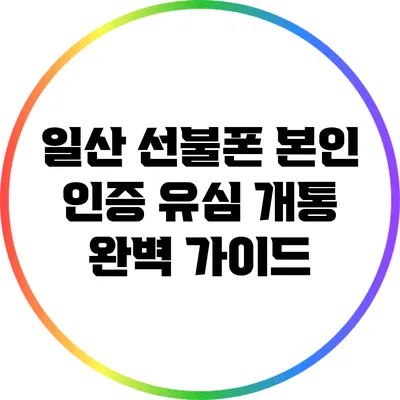 일산 선불폰 본인 인증 유심 개통 완벽 가이드
