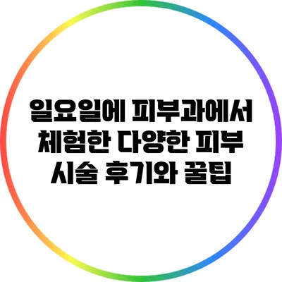 일요일에 피부과에서 체험한 다양한 피부 시술 후기와 꿀팁