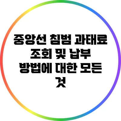 중앙선 침범 과태료 조회 및 납부 방법에 대한 모든 것