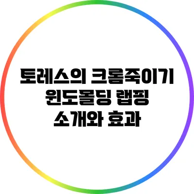 토레스의 크롬죽이기: 윈도몰딩 랩핑 소개와 효과