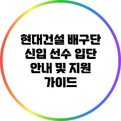 현대건설 배구단 신입 선수 입단 안내 및 지원 가이드