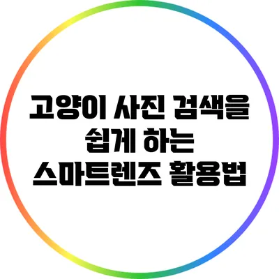 고양이 사진 검색을 쉽게 하는 스마트렌즈 활용법