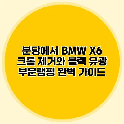 분당에서 BMW X6 크롬 제거와 블랙 유광 부분랩핑 완벽 가이드