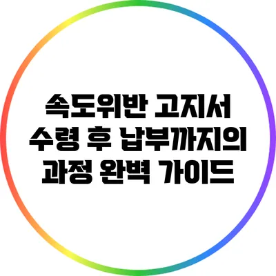 속도위반 고지서 수령 후 납부까지의 과정 완벽 가이드