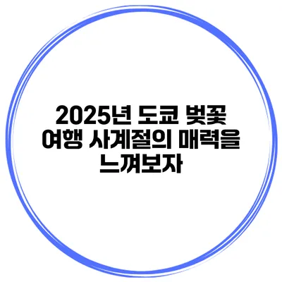 2025년 도쿄 벚꽃 여행 사계절의 매력을 느껴보자