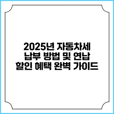 2025년 자동차세 납부 방법 및 연납 할인 혜택 완벽 가이드