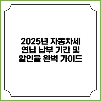 2025년 자동차세 연납 납부 기간 및 할인율 완벽 가이드