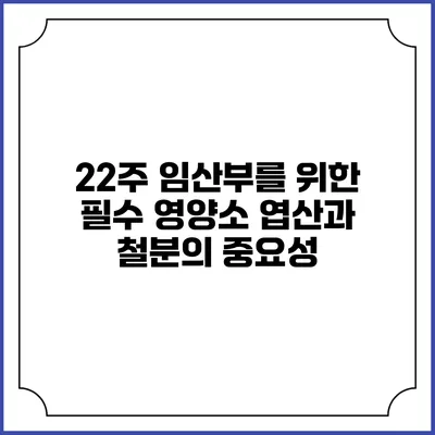 22주 임산부를 위한 필수 영양소: 엽산과 철분의 중요성