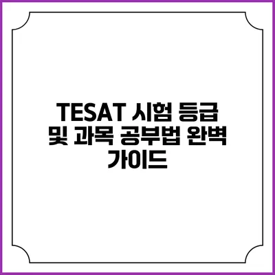 TESAT 시험 등급 및 과목 공부법 완벽 가이드