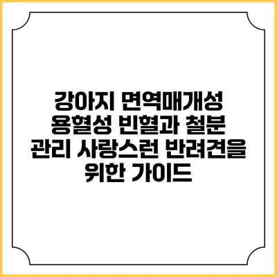 강아지 면역매개성 용혈성 빈혈과 철분 관리: 사랑스런 반려견을 위한 가이드