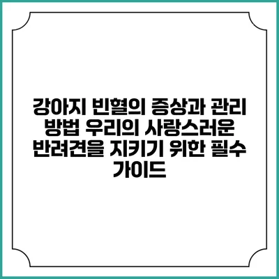 강아지 빈혈의 증상과 관리 방법: 우리의 사랑스러운 반려견을 지키기 위한 필수 가이드