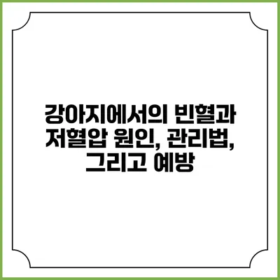 강아지에서의 빈혈과 저혈압: 원인, 관리법, 그리고 예방