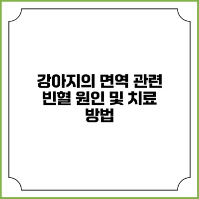 강아지의 면역 관련 빈혈 원인 및 치료 방법