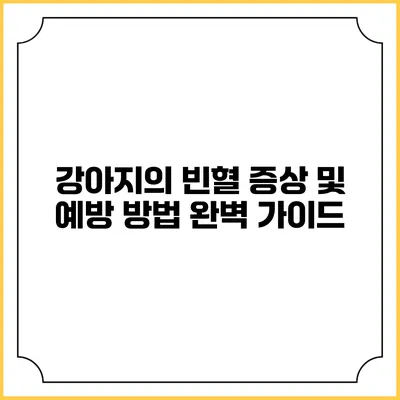 강아지의 빈혈 증상 및 예방 방법 완벽 가이드