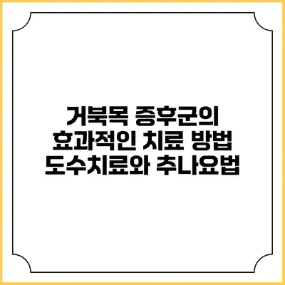 거북목 증후군의 효과적인 치료 방법: 도수치료와 추나요법
