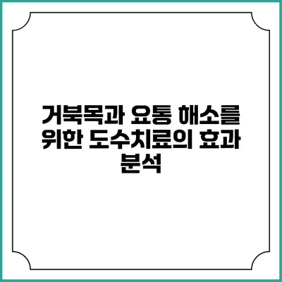 거북목과 요통 해소를 위한 도수치료의 효과 분석