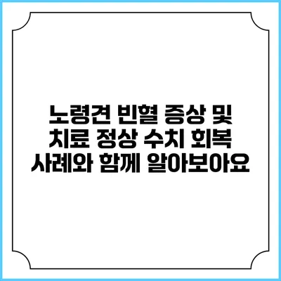 노령견 빈혈 증상 및 치료: 정상 수치 회복 사례와 함께 알아보아요