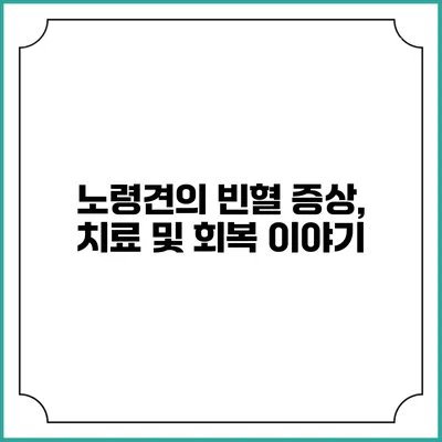노령견의 빈혈: 증상, 치료 및 회복 이야기