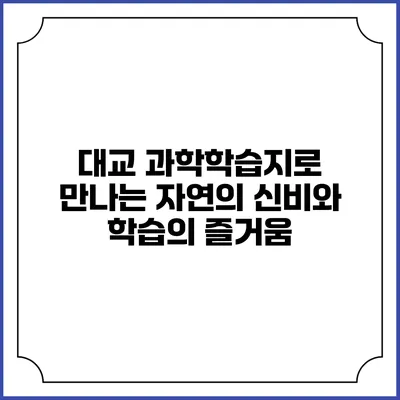 대교 과학학습지로 만나는 자연의 신비와 학습의 즐거움