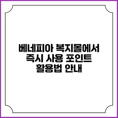베네피아 복지몰에서 즉시 사용 포인트 활용법 안내