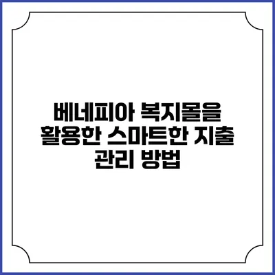 베네피아 복지몰을 활용한 스마트한 지출 관리 방법