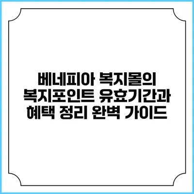 베네피아 복지몰의 복지포인트 유효기간과 혜택 정리 완벽 가이드