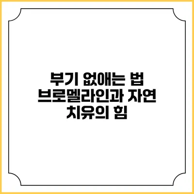 부기 없애는 법: 브로멜라인과 자연 치유의 힘