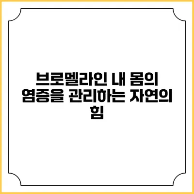 브로멜라인: 내 몸의 염증을 관리하는 자연의 힘