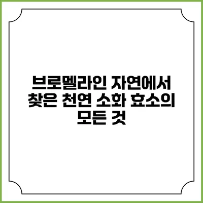 브로멜라인: 자연에서 찾은 천연 소화 효소의 모든 것