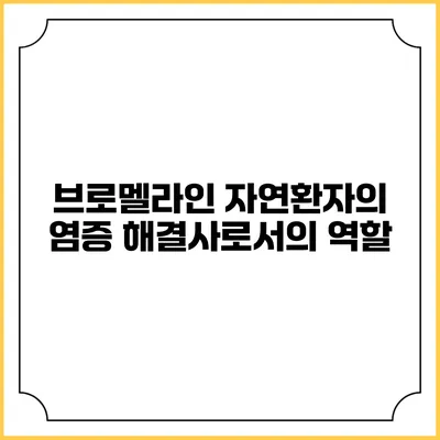 브로멜라인: 자연환자의 염증 해결사로서의 역할