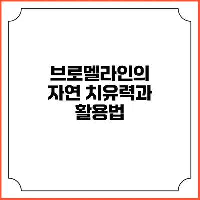 브로멜라인의 자연 치유력과 활용법
