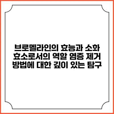 브로멜라인의 효능과 소화 효소로서의 역할: 염증 제거 방법에 대한 깊이 있는 탐구